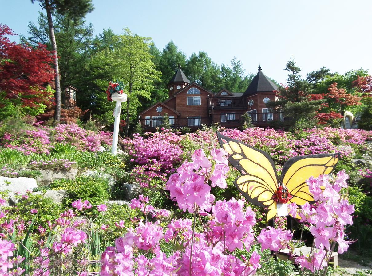 Korea Quality Elf Hotel Pyeongchang Esterno foto